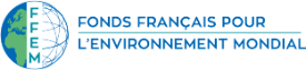 logo FFEEM