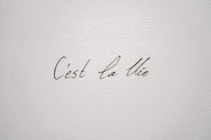 Close-Up Shot of a Quote on a Paper