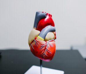 red and yellow bird figurine